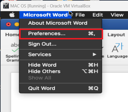 Preferences in Ms Word (Mac)